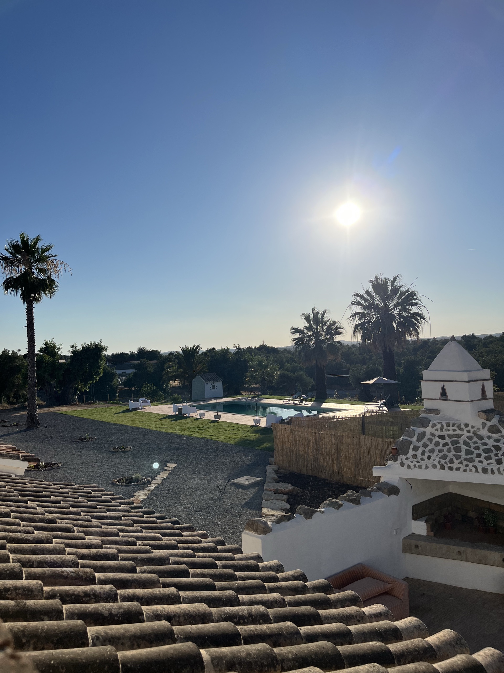 pool and lawned garden among palm trees