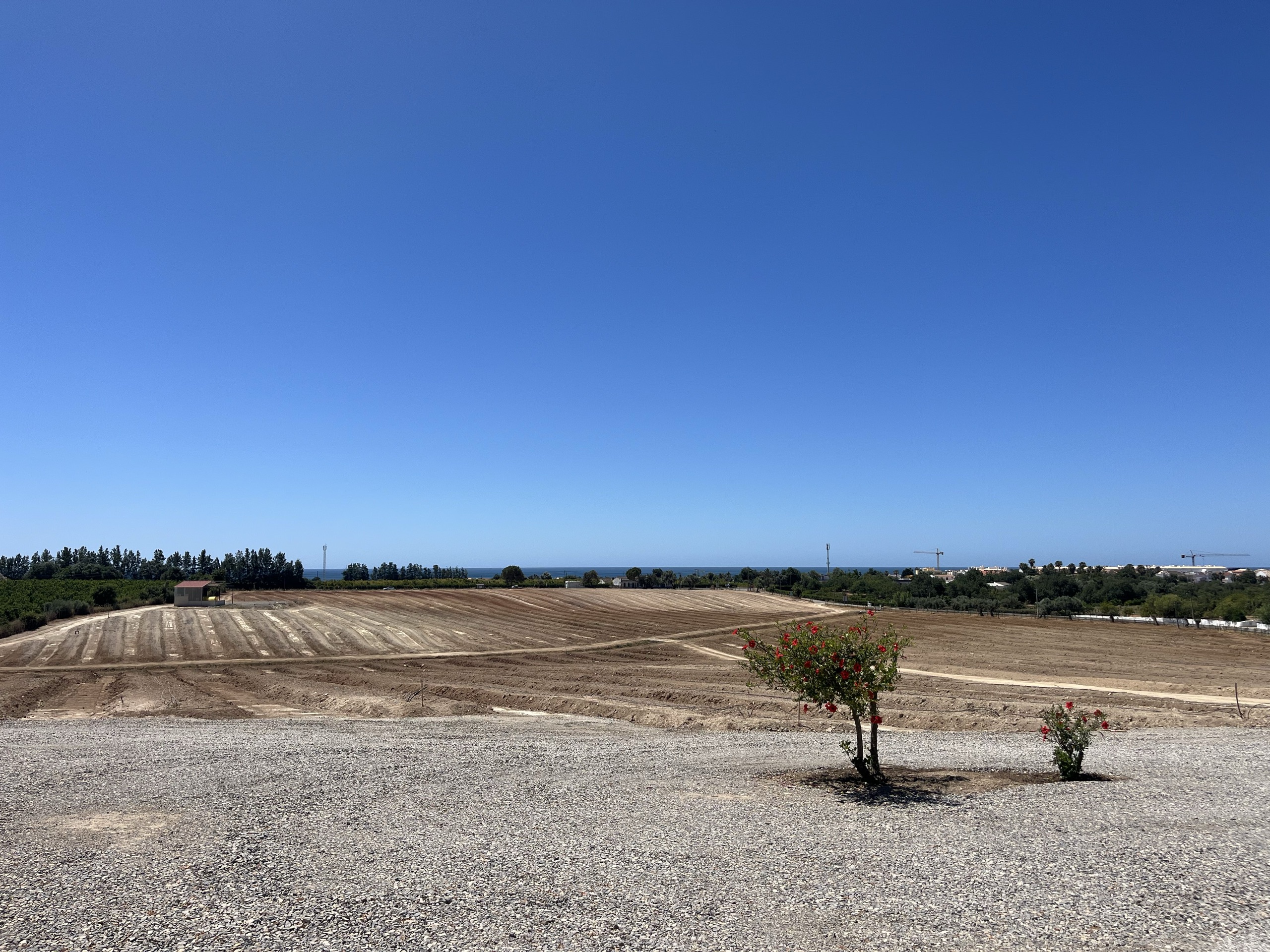 view from the farm over the fields to the sea